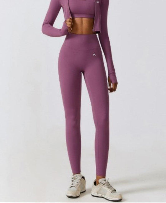 High-performance womens leggings in mauve with high-waist and squat-proof design for workouts