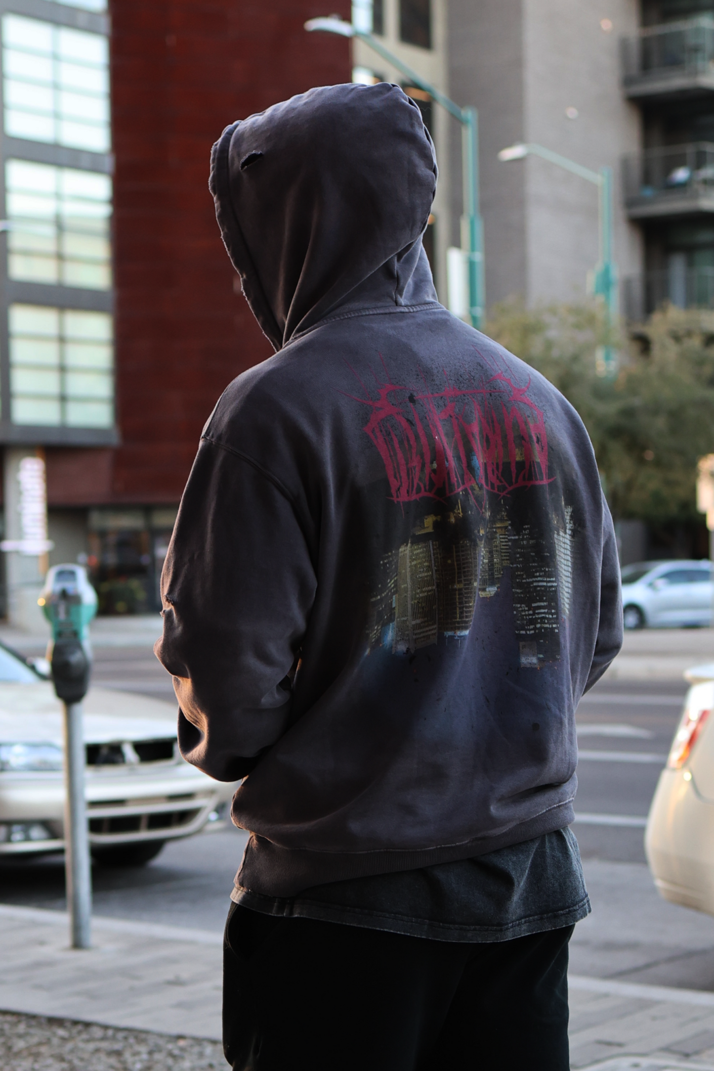 Upside Down Phoenix Hoodie