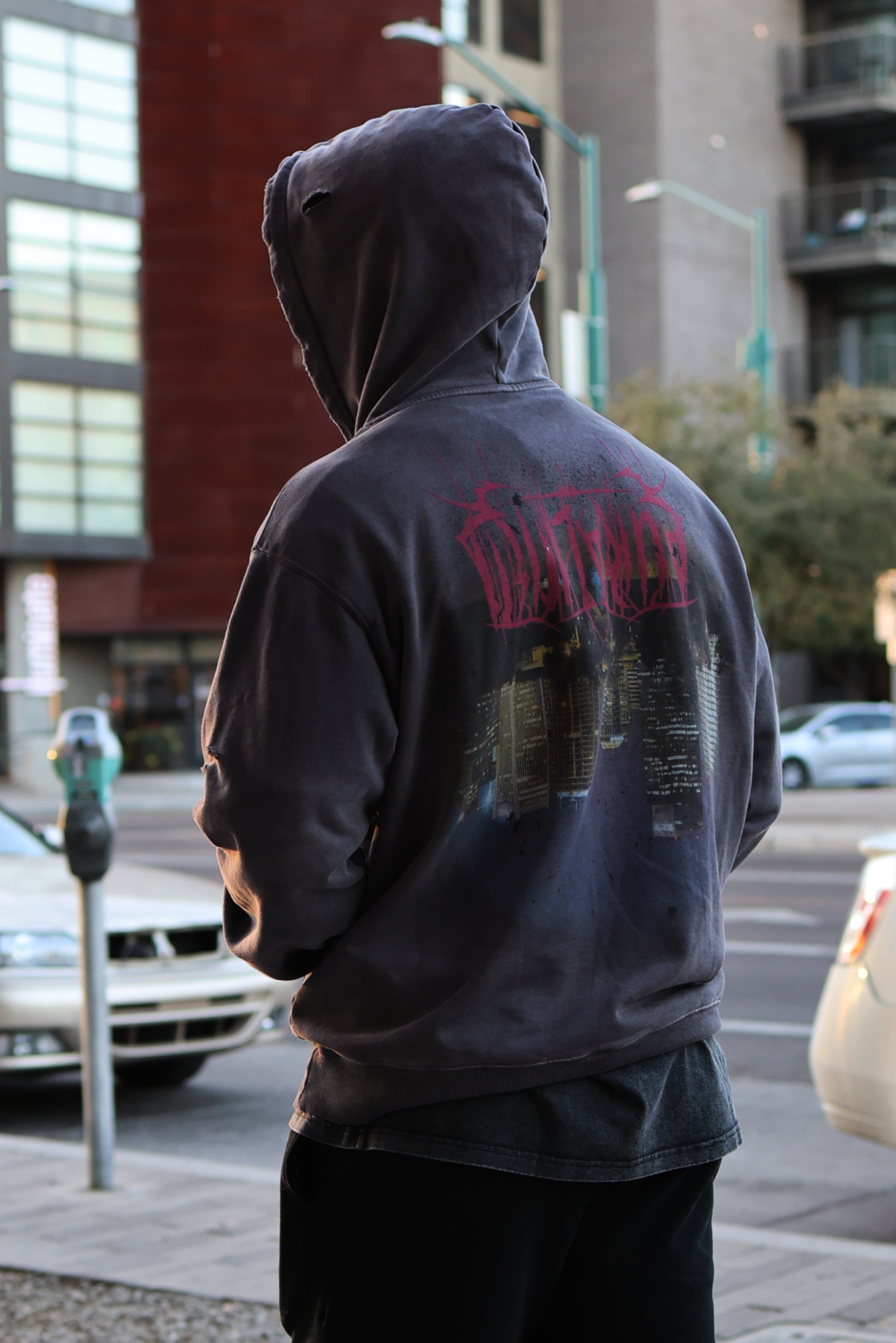 Upside Down Phoenix Hoodie