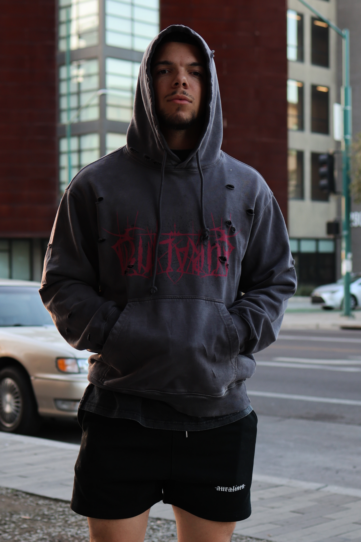 Upside Down Phoenix Hoodie